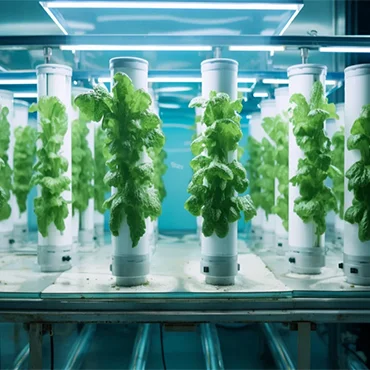 Water-Efficient Aeroponics