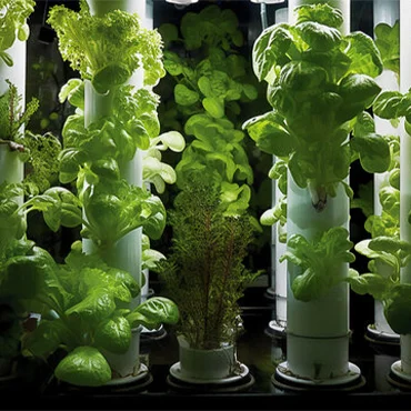 Vertical Aeroponic Farming