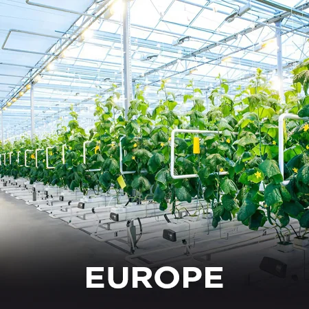 EUROPE hydrponics farming