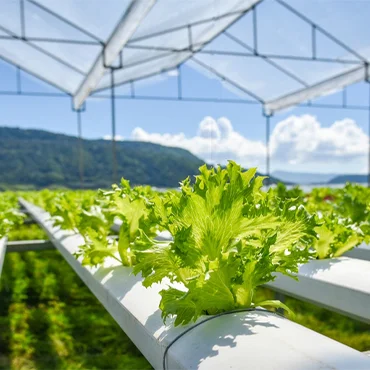 Sustainable Farming Tech