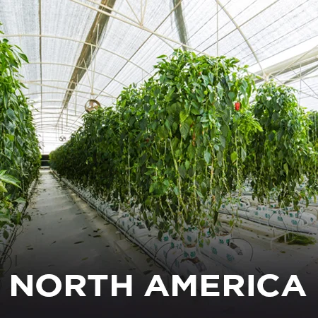 North America hydrponics farming