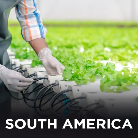 SOUTH AMERICA hydrponics farming