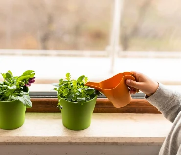 Kids Involved in Hydroponics Farming