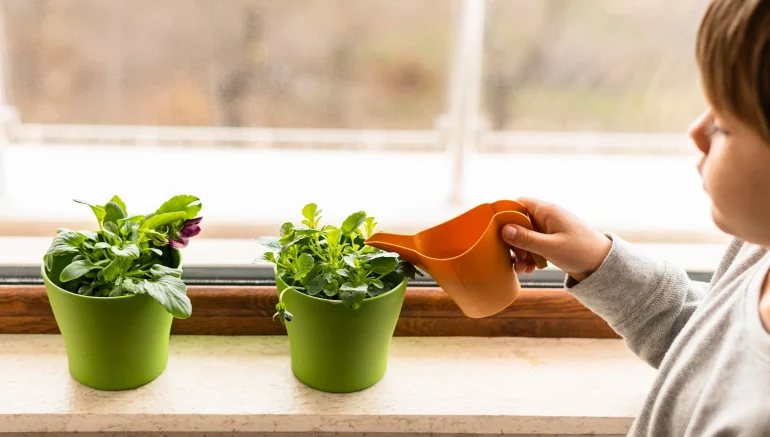 Kids Involved in Hydroponics Farming