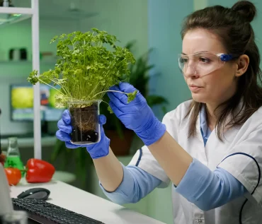 Hydroponic Plant Health