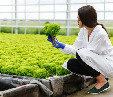 Technology in Hydroponic Farming