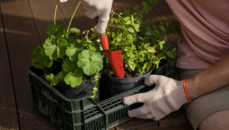 Different Types of Hydroponic Systems Explained