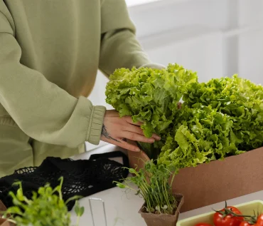 Hydroponics Grow Plants