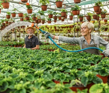 Soil-Based Farming to Hydroponics