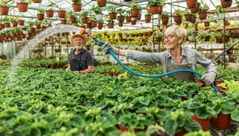 Soil-Based Farming to Hydroponics